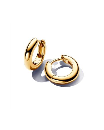 Pandora Essence korvakorut 263320C00