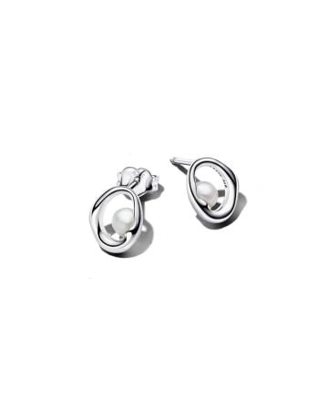Pandora Essence korvakorut 293295C01