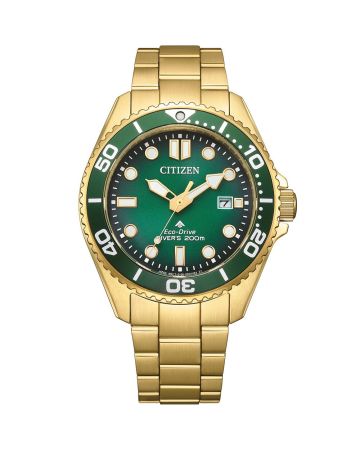 Citizen Eco-Drive Pro Marine BN0262-59W