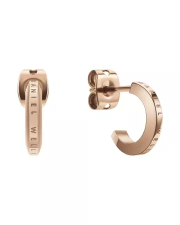 Daniel Wellington Elan korvakorut DW00401949