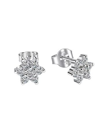 Silver Earrings E04541