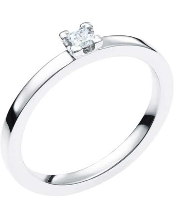 Schalins Elbe 0,10  Weißes Gold