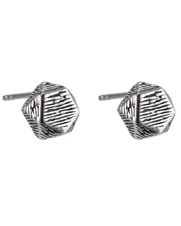 Edelstahl Ohrringe ESS843