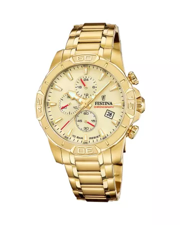 Festina Timeless Chronograph F20705/2