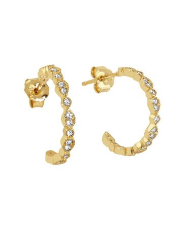 Gold Ohrringe JE14002-CZ