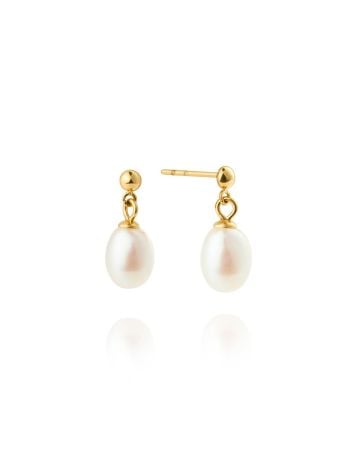 Mockberg Aura Pearl Gold korvakorut MB2076
