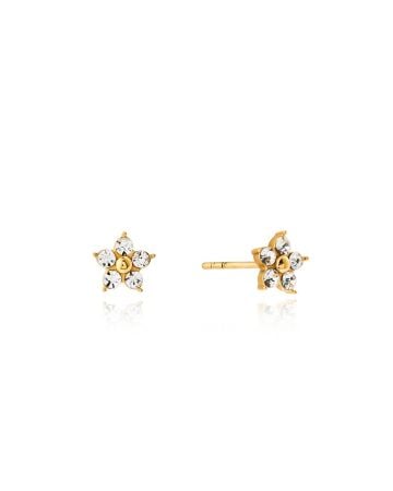 Mockberg Flora Gold örhängen MB2082