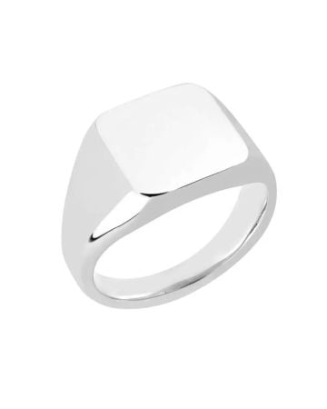 Edelstahlring RSS1006