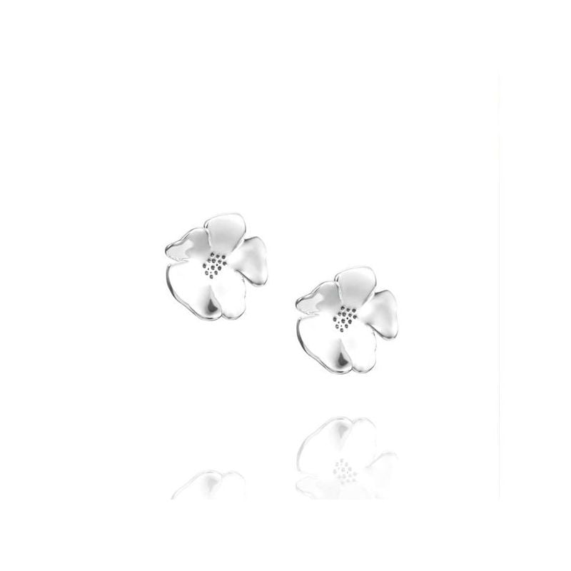 Efva Attling Violet korvakorut 12-100-01436/0000-1