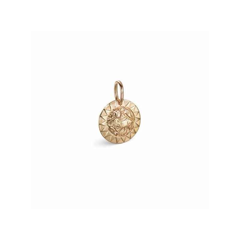 Kalevala Amuletti Aurinkoleijona hela 14K 18703131-1