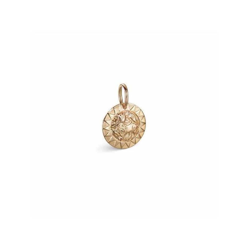 Kalevala Amuletti Aurinkoleijona hela / pieni 14K 18703133-1