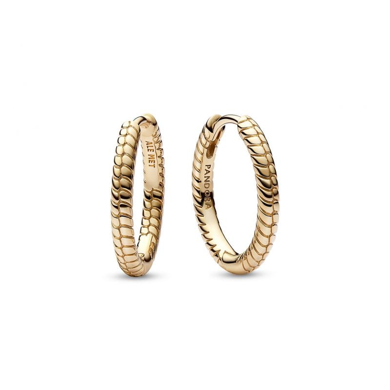 Pandora Moments Small Charm Hoop korvakorut 262728C00-1