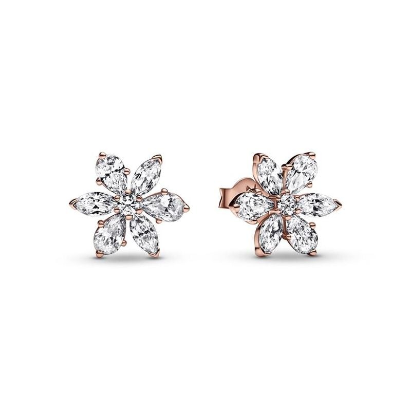 Pandora Timeless Sparkling Herbarium Cluster korvakorut 282407C01-1