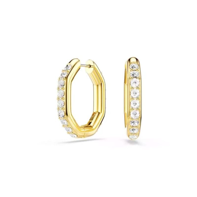 Swarovski Dextera örhängen 5724584