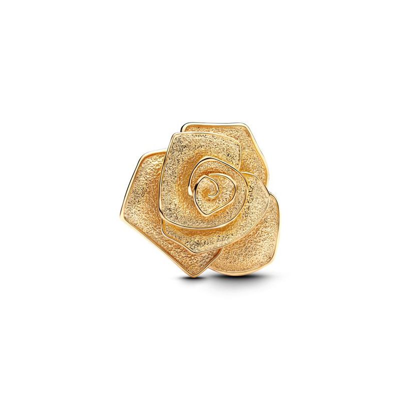 Pandora Rose in Bloom Oversized hela, kullattu 763675C00-1