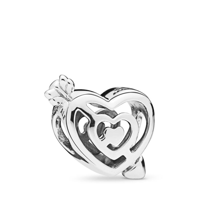 Pandora Path to Love - Charme 797814-1