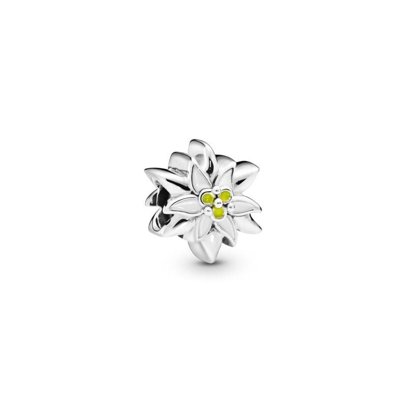 Pandora Edelweiss -hela 798243ENMX-3