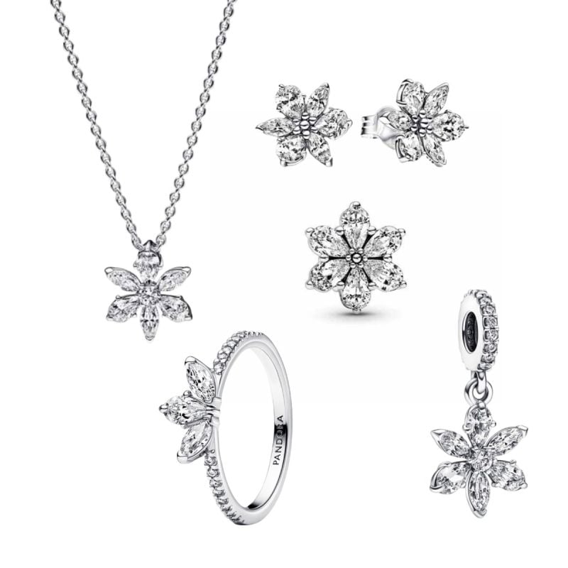 Pandora Herbarium Cluster Schmuckset