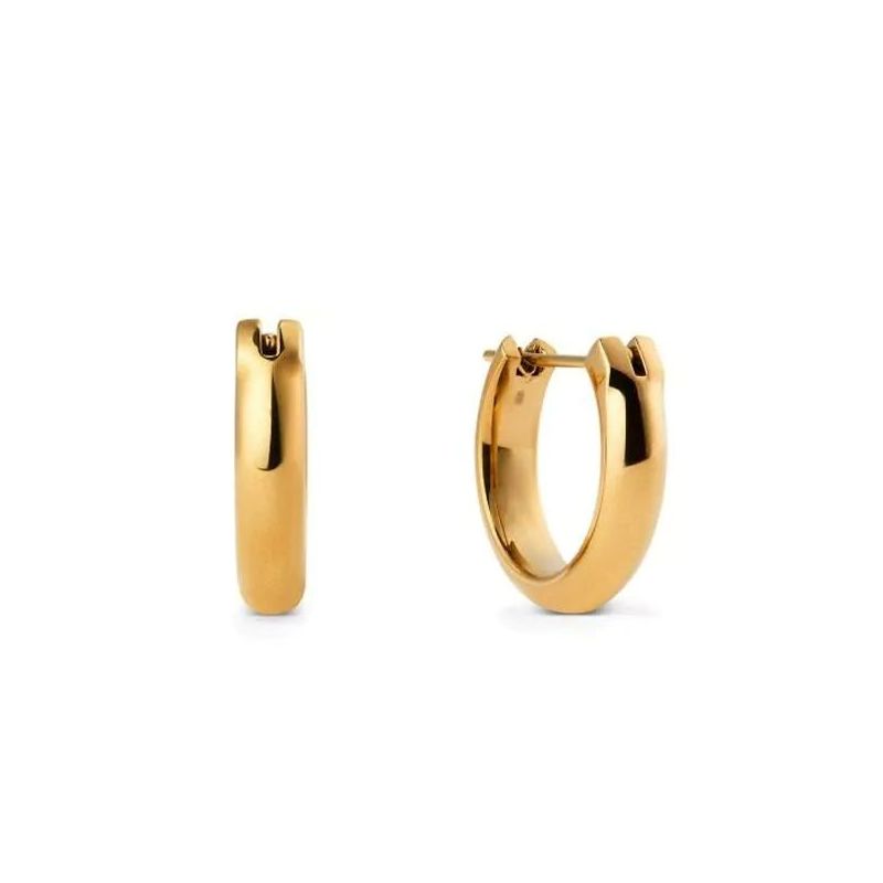 Daniel Wellington Elan korvakorut DW00401949