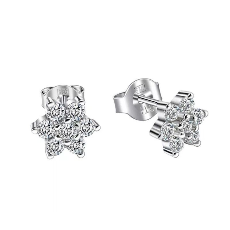Silver Earrings E04541