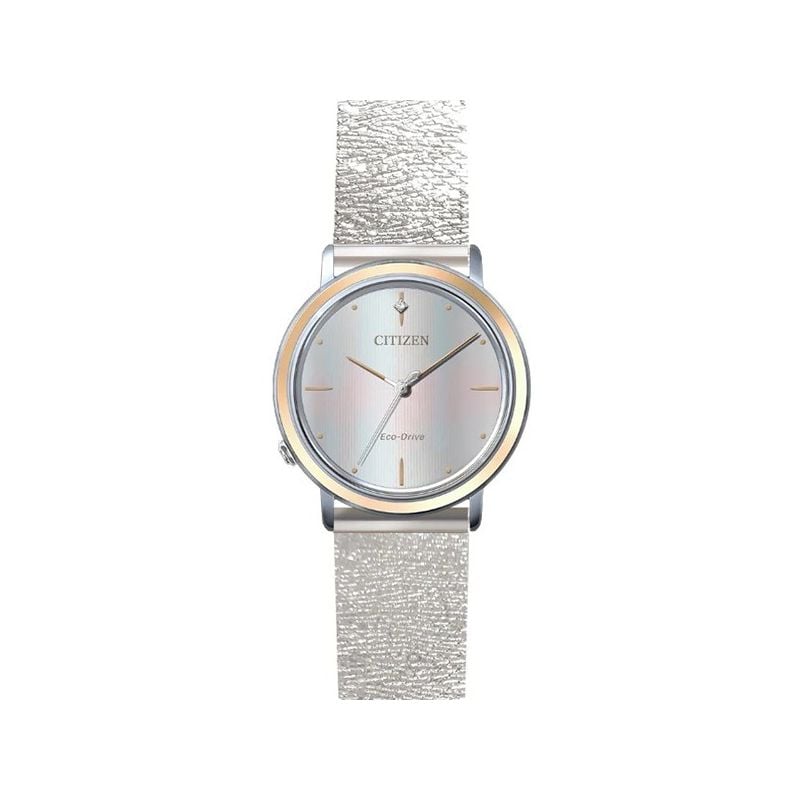Citizen Eco-Drive 10th Anniversary EM1006-40A-1
