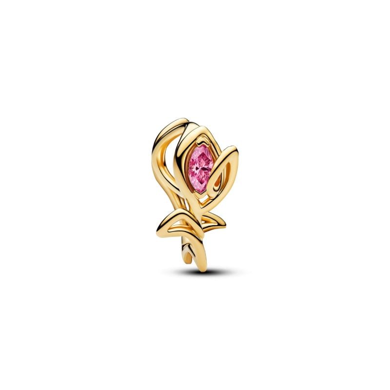 Pandora Tulip Openwork Charme 764555C01