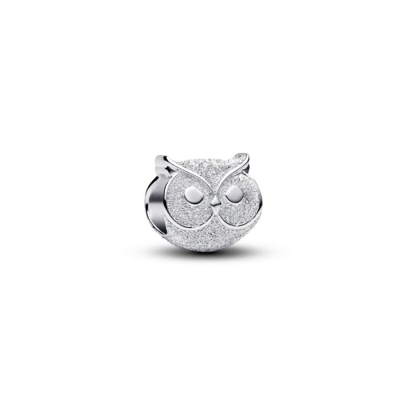 Pandora Textured Owl Mini Charme 794525C00