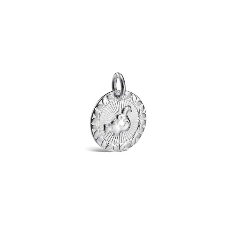 Kalevala Amuletti Taikalintu hela 28703152-1