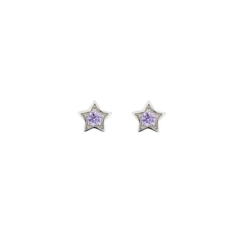 Lumoava Elämäntähti korvakorut, violetti L54228606100-1