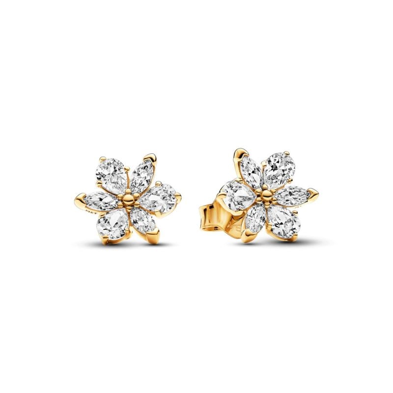 Pandora Timeless Sparkling Herbarium Cluster korvakorut 262633C0-1