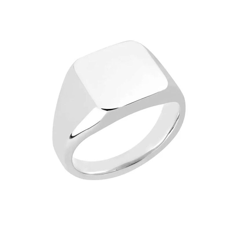 Edelstahlring RSS1006