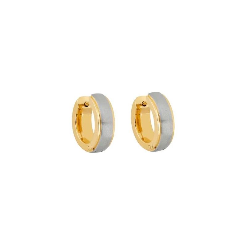Titanohrringe STE-2485 IPG