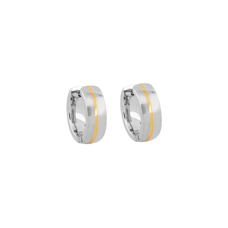 Titan-Ohrringe STE-4898M TT IPG-1