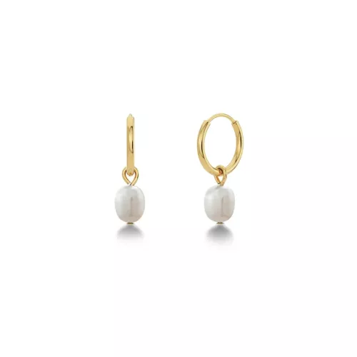 Edblad Perla Hoops Gold 13.5mm 116656