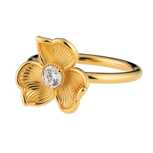 Lumoava Anna sormus, kullattu L62263830