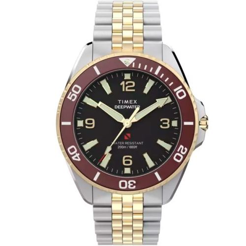Timex DeepWater Arctic TW2Y64700