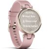 Garmin Lily Sport Dust Rose 010-02384-13-2