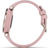 Garmin Lily Sport Dust Rose 010-02384-13-3