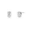 Edblad Misty Studs korvakorut 128003