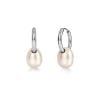 Edblad Breeze Hoops S Silver korvakorut 130382