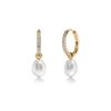 Edblad Perla Hoops Sparkle Gold Ohrringe 130660
