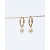 Edblad Perla Hoops Sparkle Gold Ohrringe 130660