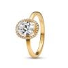 Pandora Oval Sparkling Halo Ring 163802C01