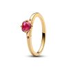 Pandora Explosion of Love sormus 166574C01-1