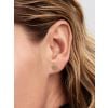 Pandora Heart Halo Stud Ohrringe 264363c01