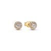 Pandora Stud Earrings 14K Gold-Plated korvakorut 263019C01-1