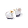 Pandora Essence Baroque korvakorut 263309C01-1