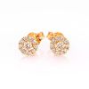 Romanssi Pioni Labordiamant-Ohrringe 265-020 KK KK