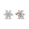 Pandora Timeless Sparkling Herbarium Cluster korvakorut 282407C01-1
