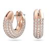 Swarovski Dextera korvakorut 5636531-1